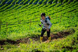 BIB: 
                            <button type="button" onclick="openModal(19160416)" class="btn btn-primary btn-sm float-right btn-popup" data-toggle="modal" data-target=".modal-high-quality">
                        <i class="fas fa-shopping-cart"></i> Add to Cart
                    </button>
                                            <button type="button" onclick="isThisMe(19160416, true)" class="btn btn-success btn-sm float-right btn-popup btn-isme hidden" data-toggle="tooltip" data-placement="bottom" title="นี่คือรูปของคุณใช่ไหม คลิกที่นี่เพื่อเอาเข้าอัลบั้ม">
                        <i class="fas fa-plus"></i> Add to album
                    </button>
                    <button type="button" onclick="isThisMe(19160416, false)" class="btn btn-warning btn-sm float-right btn-popup btn-isnotme hidden">
                        <i class="fas fa-ban"></i> Remove from album
                    </button>